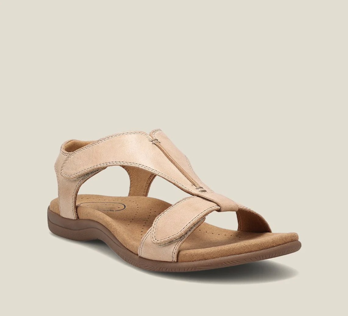 Beige Blush / 12